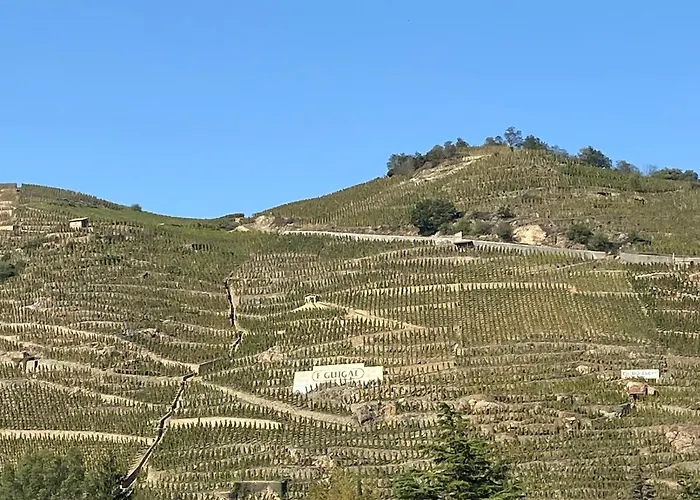 Mt.1937 Vendégház